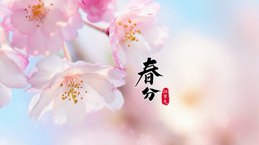 春分丨恰是桃红柳绿赏春时