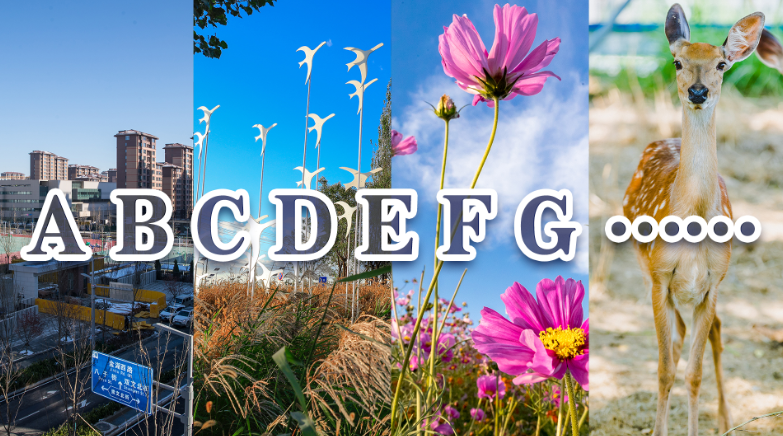 A B C D E F G……