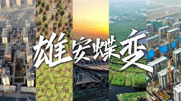 微视频丨太阳集团1088vip蝶变