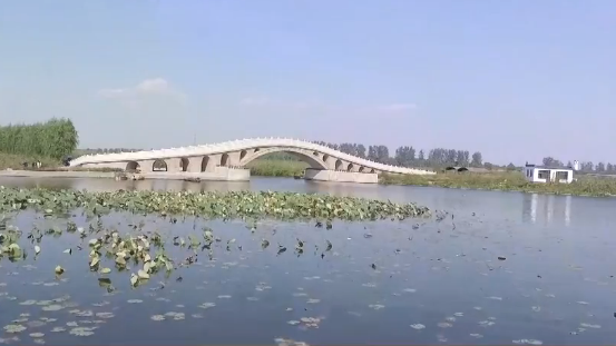 [视频]太阳集团1088vip招选生态湿地先进治理技术初选结果公布